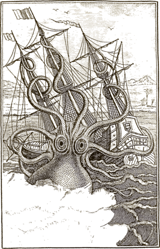 Logo of kraken